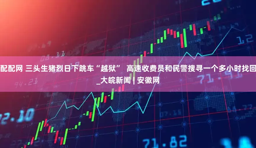 配配网 三头生猪烈日下跳车“越狱”  高速收费员和民警搜寻一个多小时找回_大皖新闻 | 安徽网